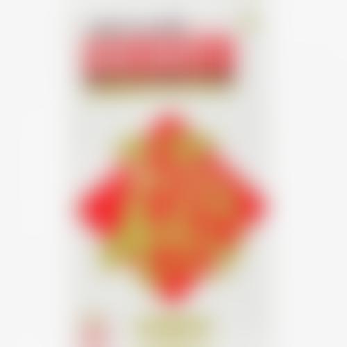 忆立福 茴拉西坦片 0.1g×24片×2板